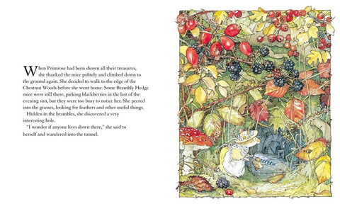 Autumn Story (Brambly Hedge)