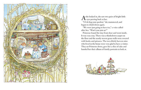 Autumn Story (Brambly Hedge)