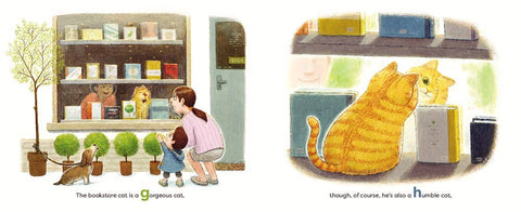 The Bookstore Cat