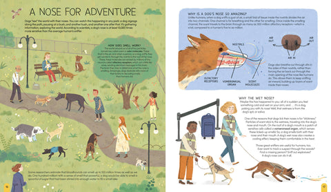 A World of Dogs