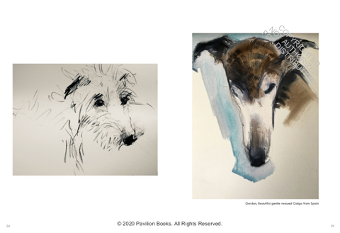 Old Dogs