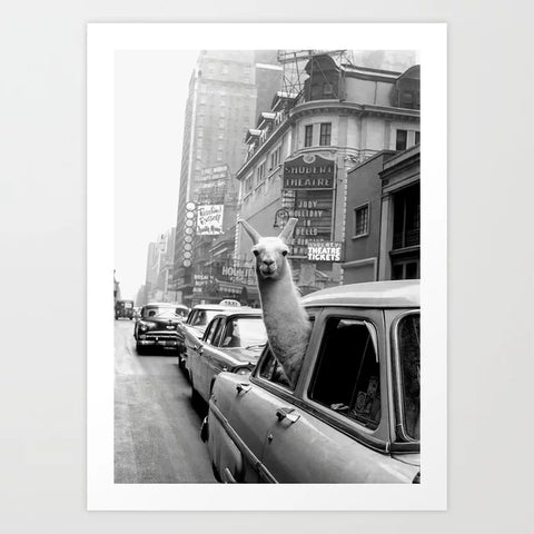 Llama Riding in Taxi, Black and White Vintage Print Art Print 8" x 10"